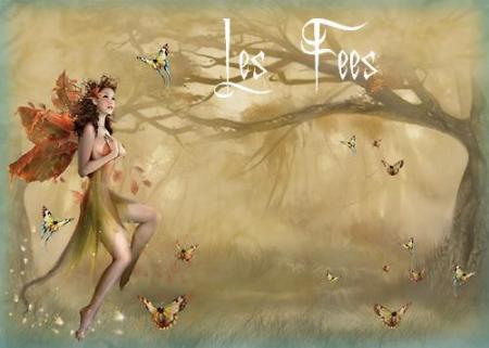FEES